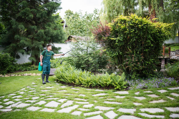 Best Mosquito Control Services  in La Follette, TN