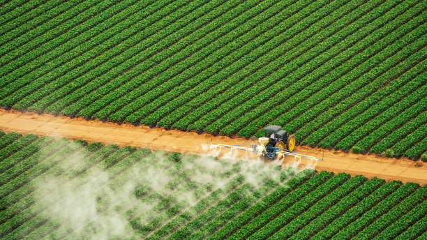 Pest Control Cost in La Follette, TN