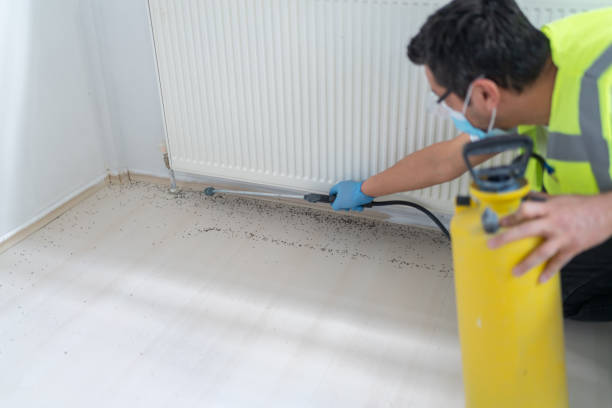 Best Best Pest Control Companies  in La Follette, TN
