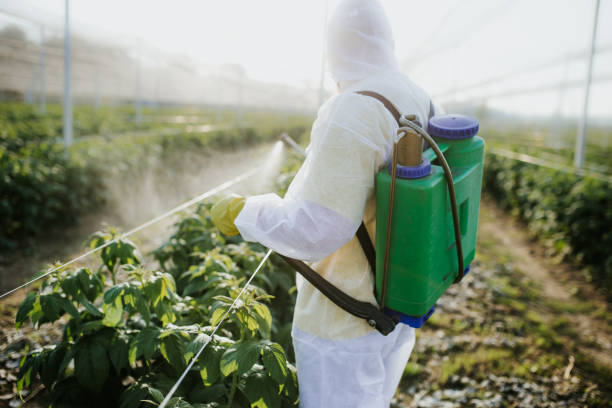 Best Pest Control Near Me  in La Follette, TN